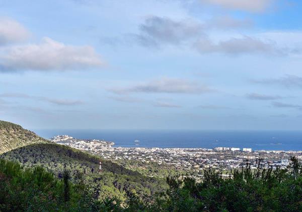 Villa Cana Mar Ibiza 14