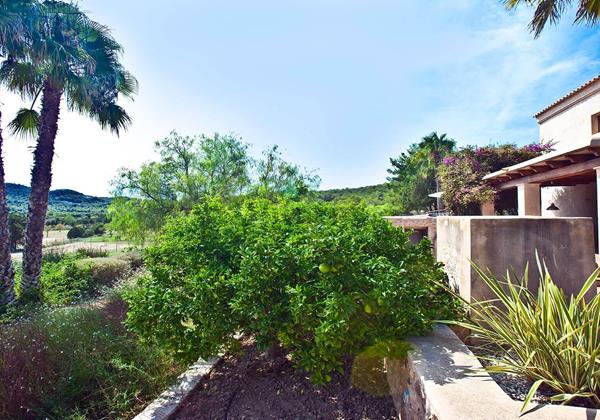 Villa La Encina Ibiza 49 Min