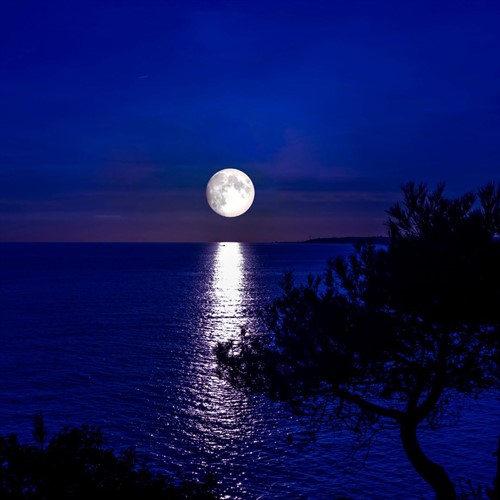 FULL MOON