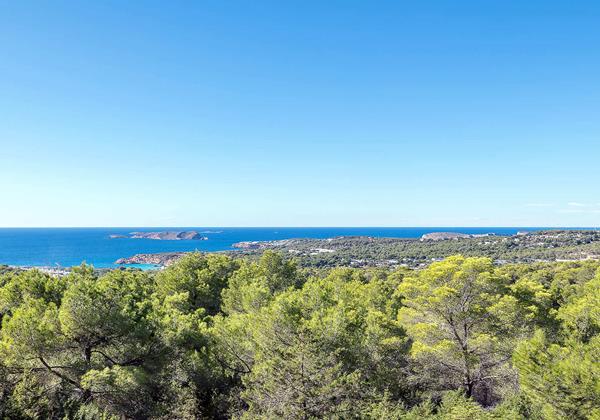 Villa Ivy Ibiza 16
