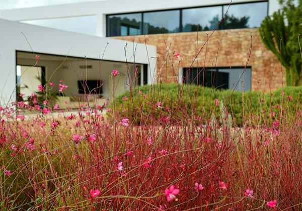 Villa Sa Gaita Ibiza 12 Min