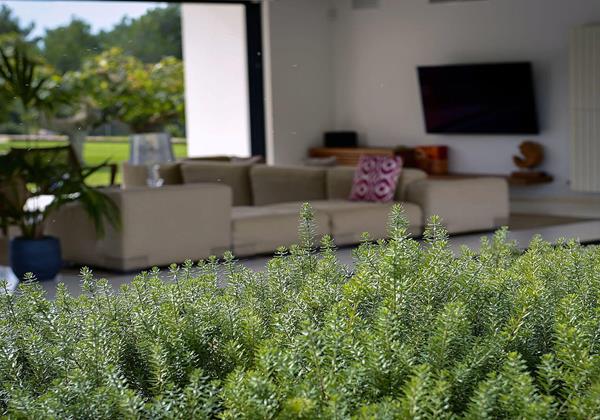 Villa Sa Gaita Ibiza 16 Min