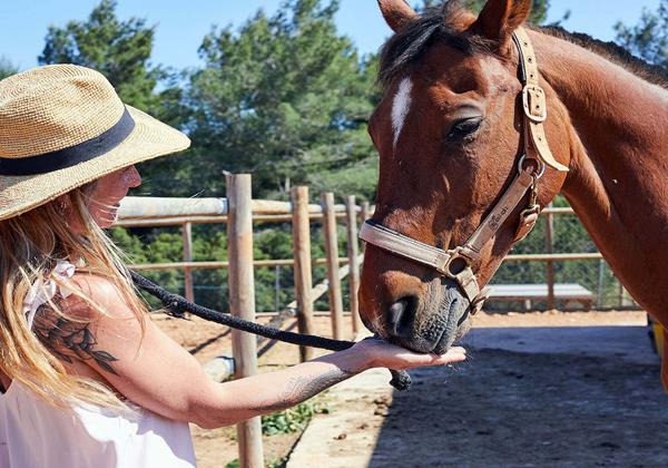 Villa Sa Gaita Ibiza 40 Min