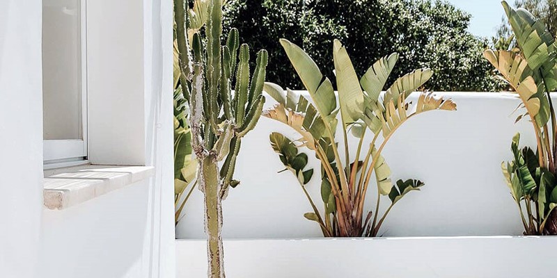 Casa Susanna Ibiza 4 Min