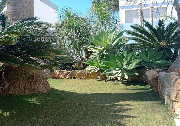 Villa Yellow Ibiza 14 Min