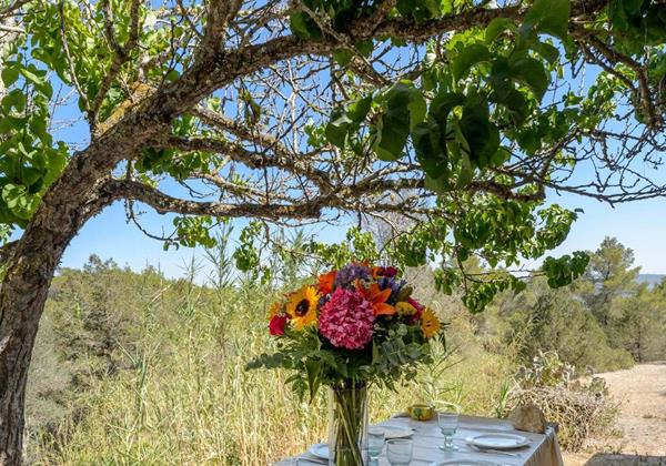 Villa Can Felix Ibiza 49 Min