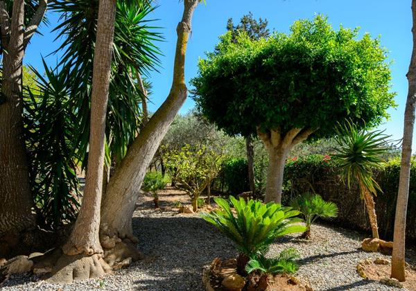 Can Joan Simona 025 Min