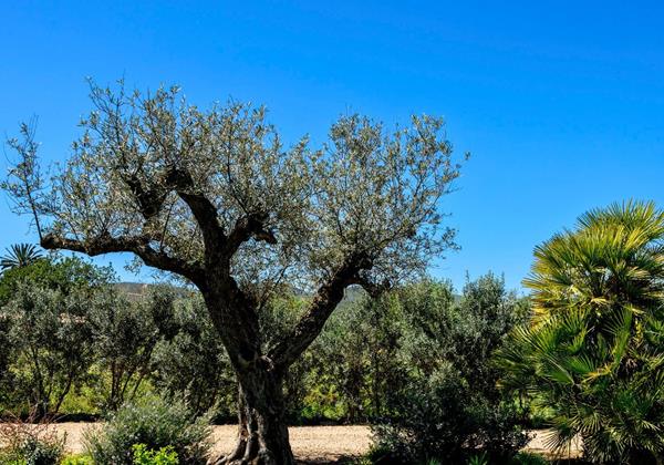 Exteriores Puig 003 Min