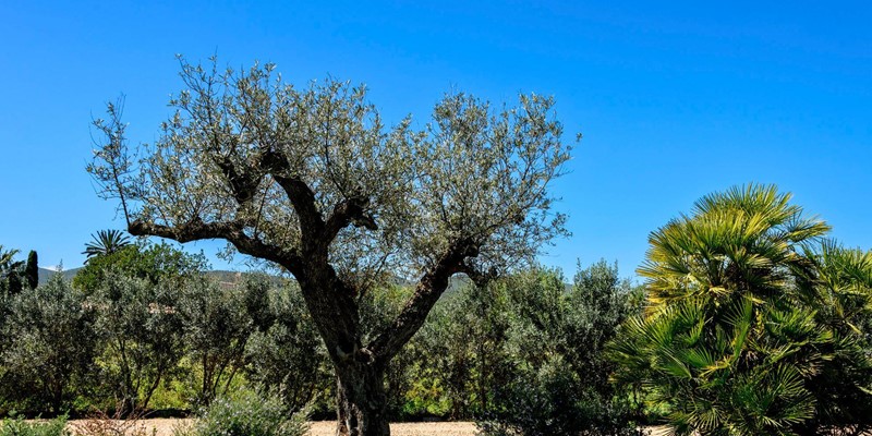 Exteriores Puig 003 Min