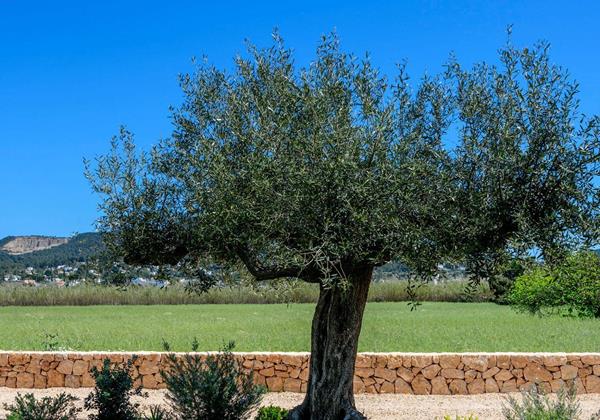 Exteriores Puig 010 Min