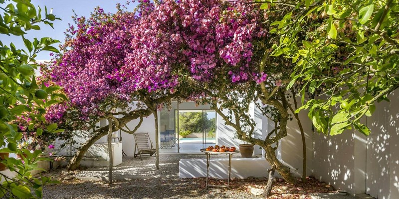 Casa Flor Hq6