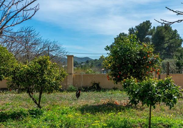 Cerca Santa Eulalia 49