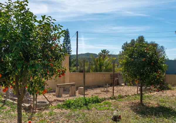 Cerca Santa Eulalia 50