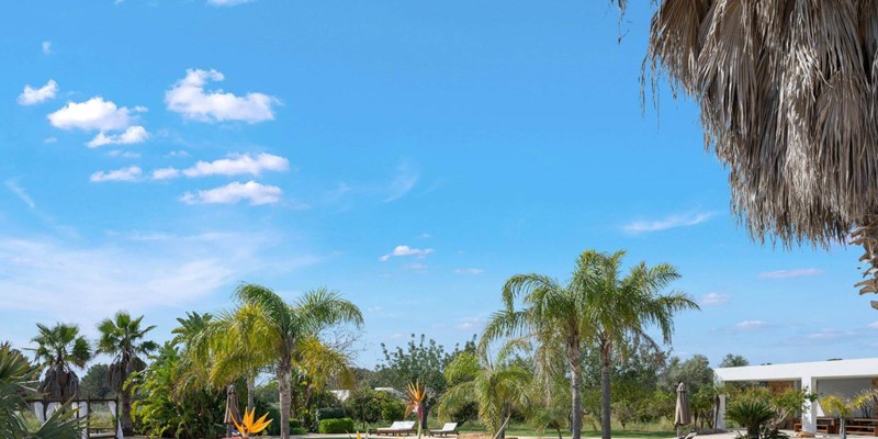 Villa Oasis 1