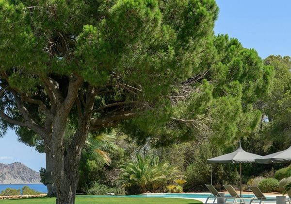 Can Taurino 29072025 102039375