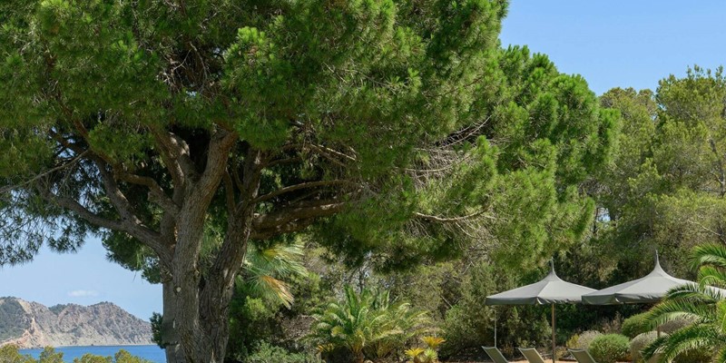 Can Taurino 29072025 102039375