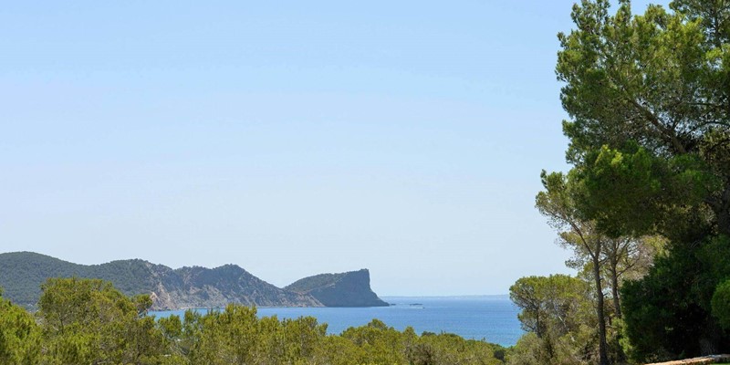 Can Taurino 29072025 102039406