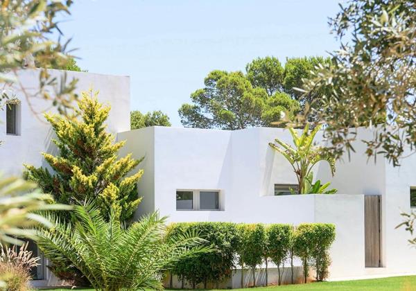 Can Taurino 29072025 102039562