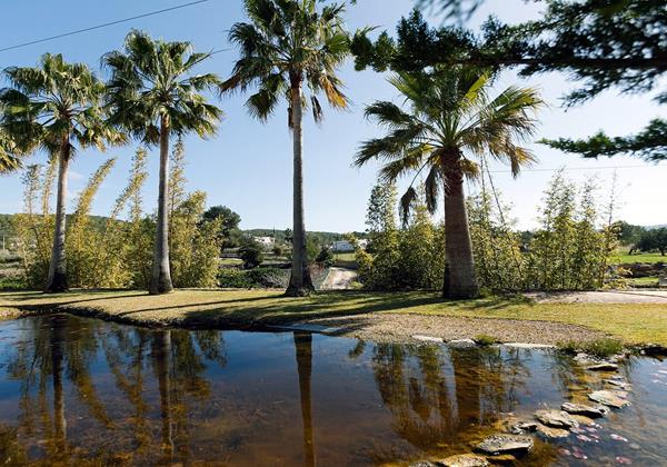 Villa Almendros Ibiza 9 Min