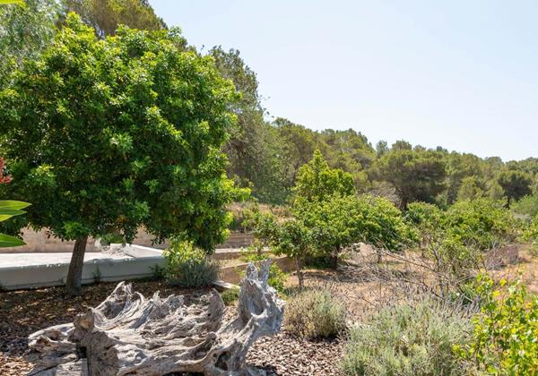 Villa Can Torres 25A