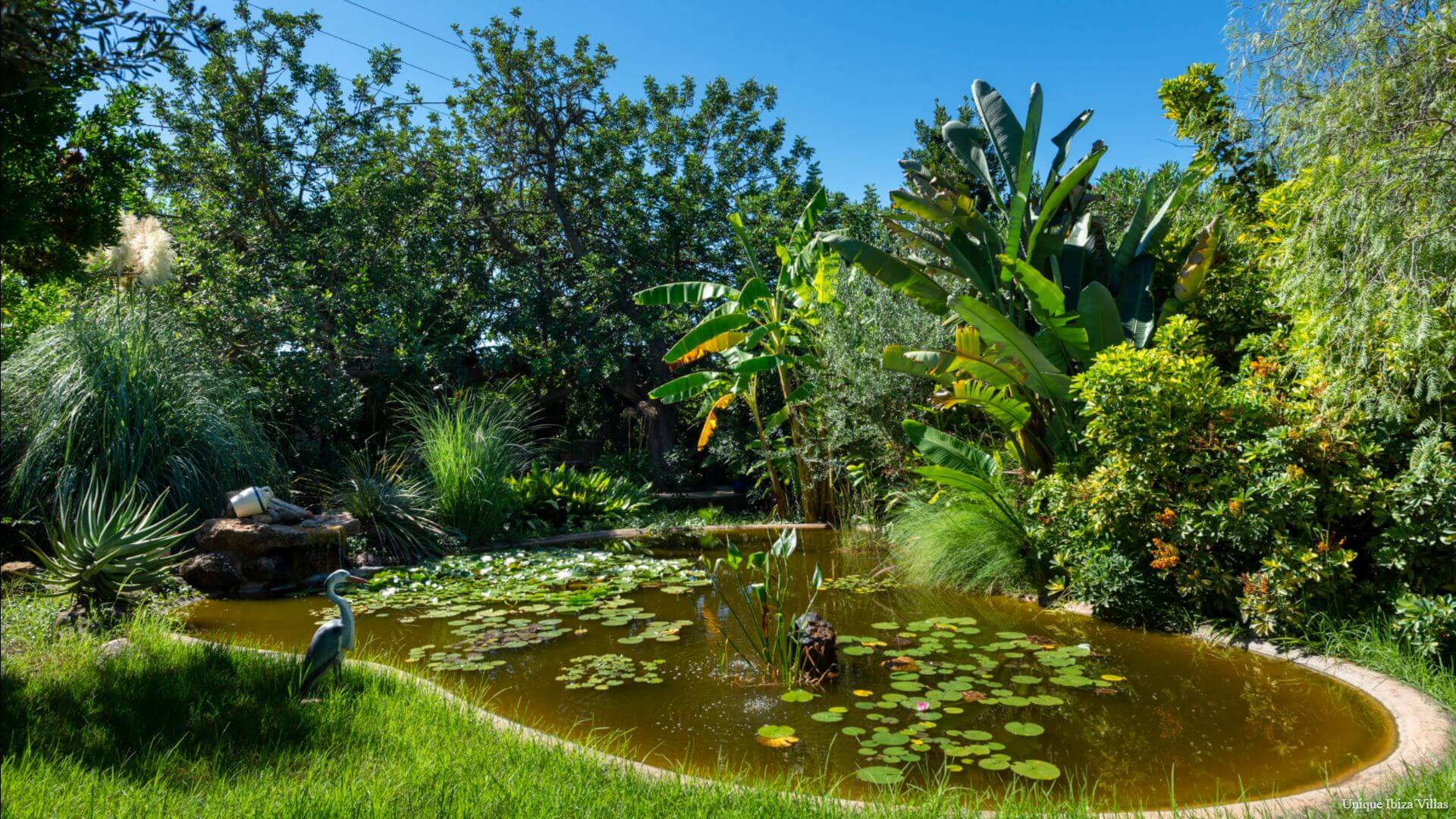 - VILLA CARMEN MORNA - 6 Bedrooms - San Carlos