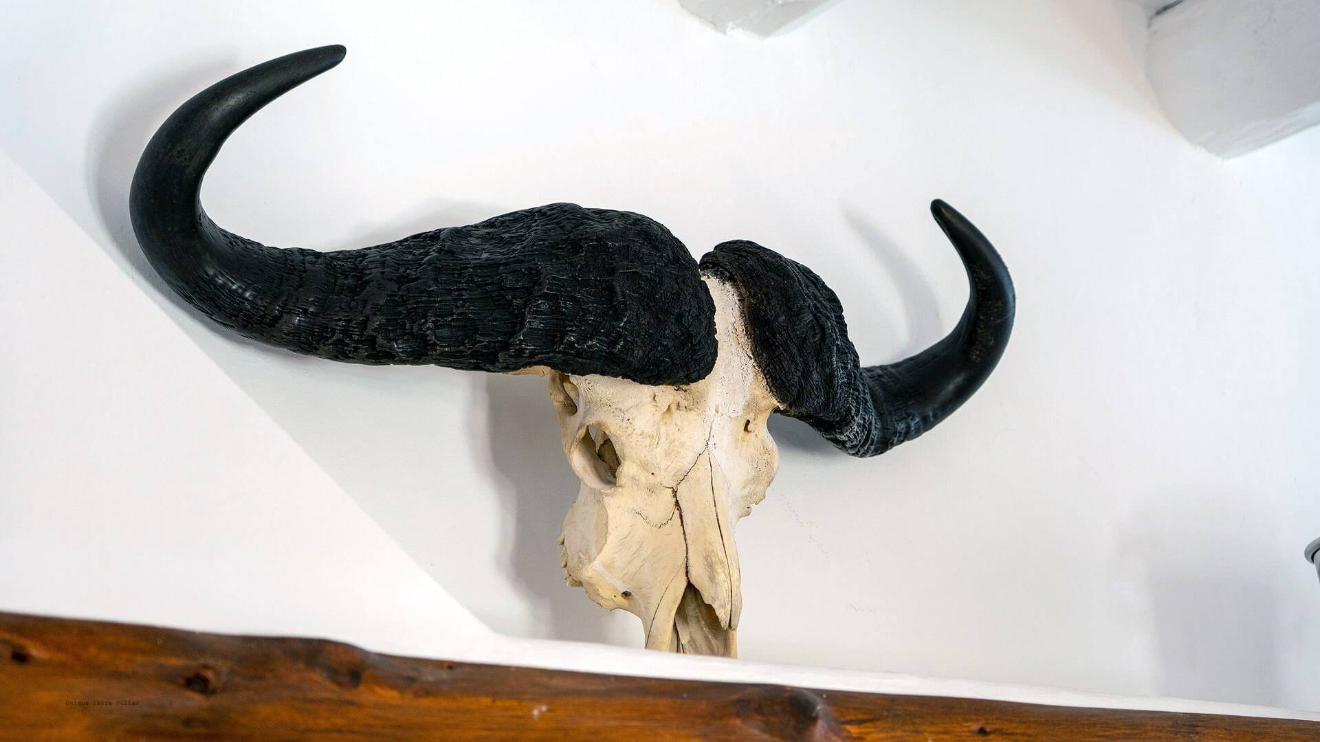  - VILLA CAN JONDAL - 6+ Bedrooms - Near Cala Jondal - Between Ibiza Town & San Jose/Sant Josep