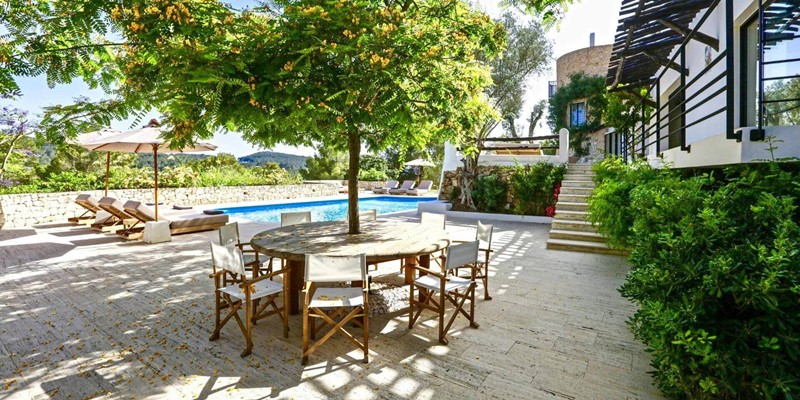 Can Gerbera 07072025 040657991