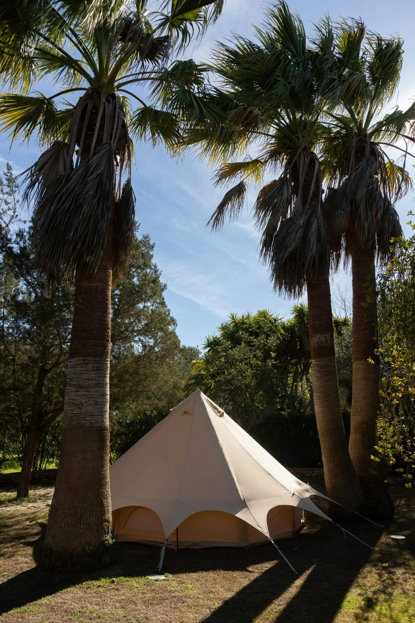  - CAN VERD - 5 Bedrooms - Santa Gertrudis