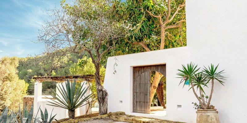 Finca Lavanda 14082025 010659745