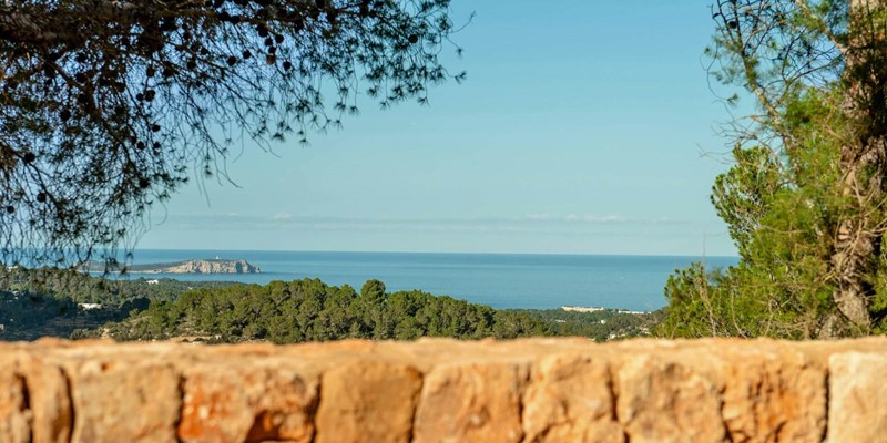 Finca Lavanda 14082025 010659792