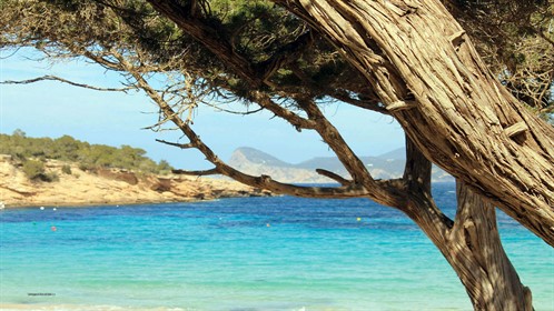 Cala Bassa Beach