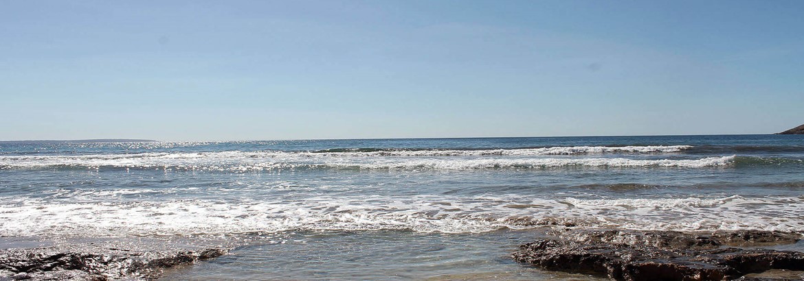 Ses Salinas