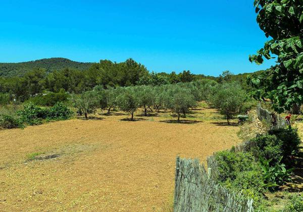 Casa Benirras Ibiza 17 Near Benirras