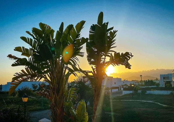 Villa El Secreto Ibiza 11 Sa Carroca